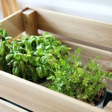 Casa vacanze Casa Mirtilla Aci Trezza