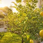 Tatil Evi Casa Mirtilla