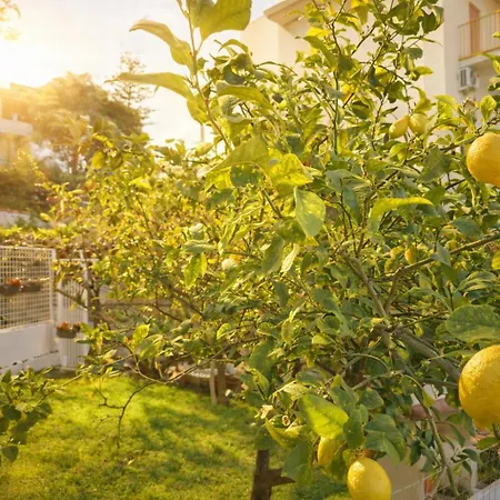 Hébergement de vacances Casa Mirtilla