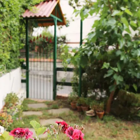 Holiday home Casa Mirtilla Aci Trezza