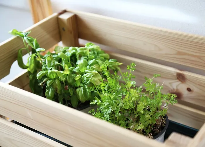 Tatil Evi Casa Mirtilla Aci Trezza